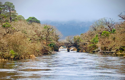 Old Bridge on the River