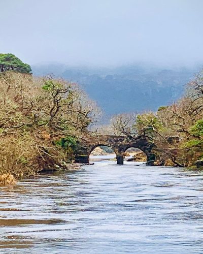 Old Bridge on the River