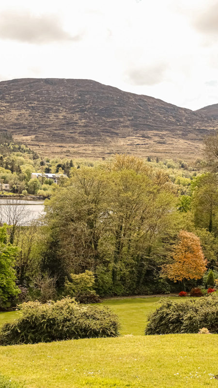 Park Kenmare Outside IMG 8194