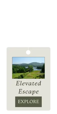 SWING TAG (2) (1)