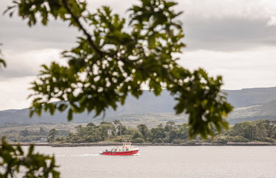 Scenic Cruises