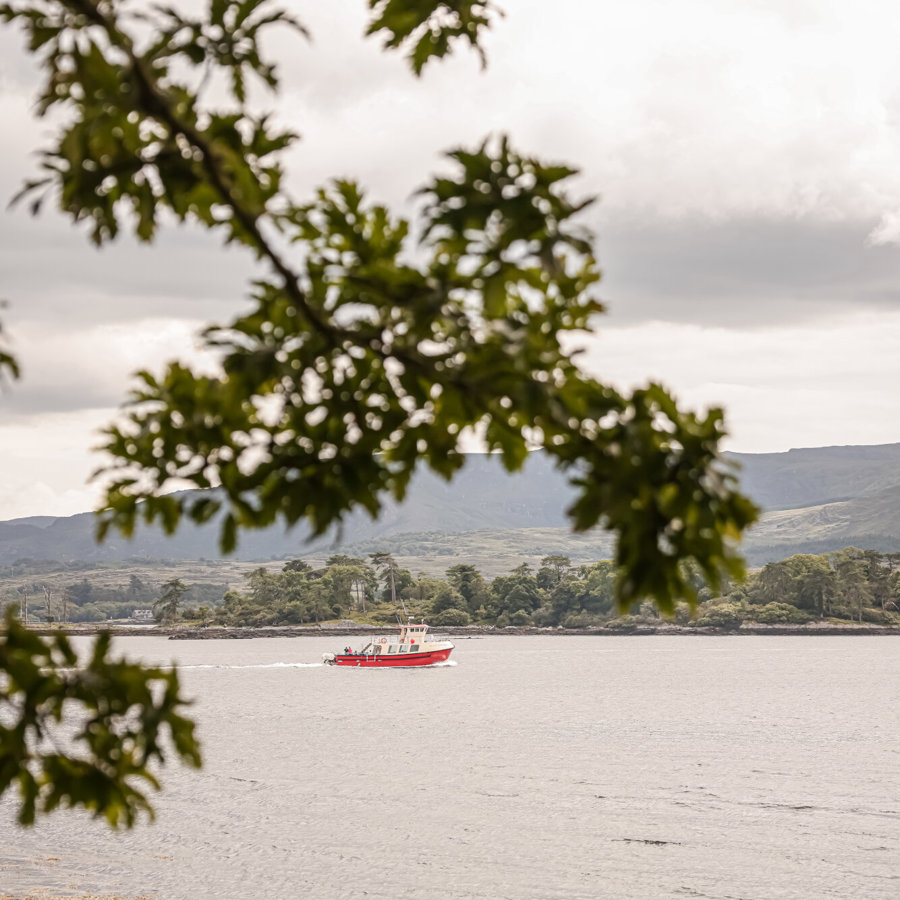 Scenic Cruises