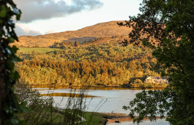 Park Kenmare Outside Lake