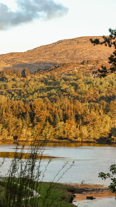 Park Kenmare Outside Lake