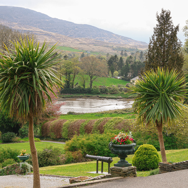 a scenic garden landscape with prominent Cordyline australis (cabbage trees), Kenmare, Co Kerry